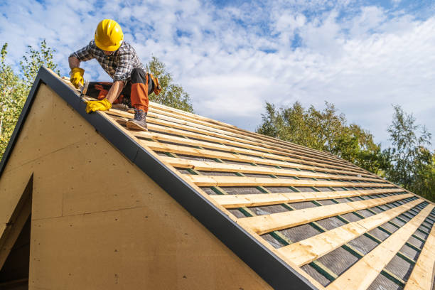 Best Roof Gutter Cleaning  in Broadway, VA