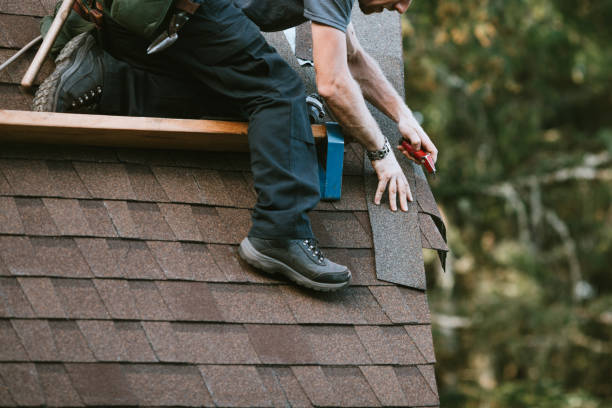Roof Gutter Cleaning in Broadway, VA